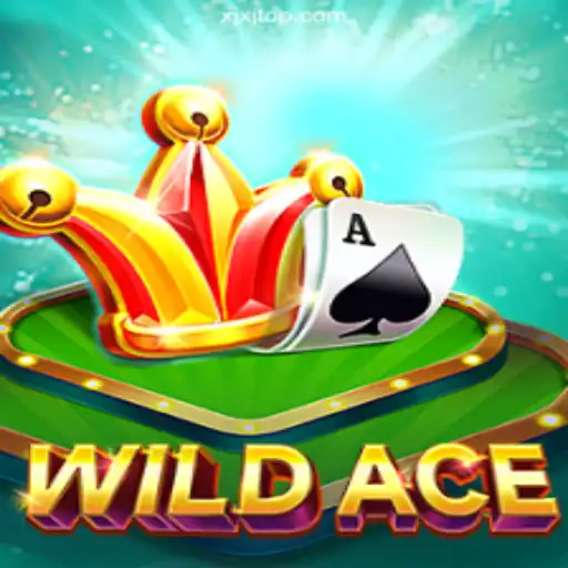Exploring the Thrills of WildAce on XJXJ.com